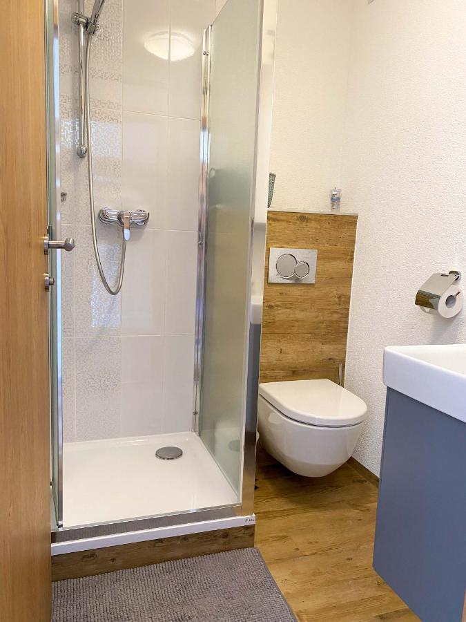 Haus Filzmoos Apartment Екстериор снимка
