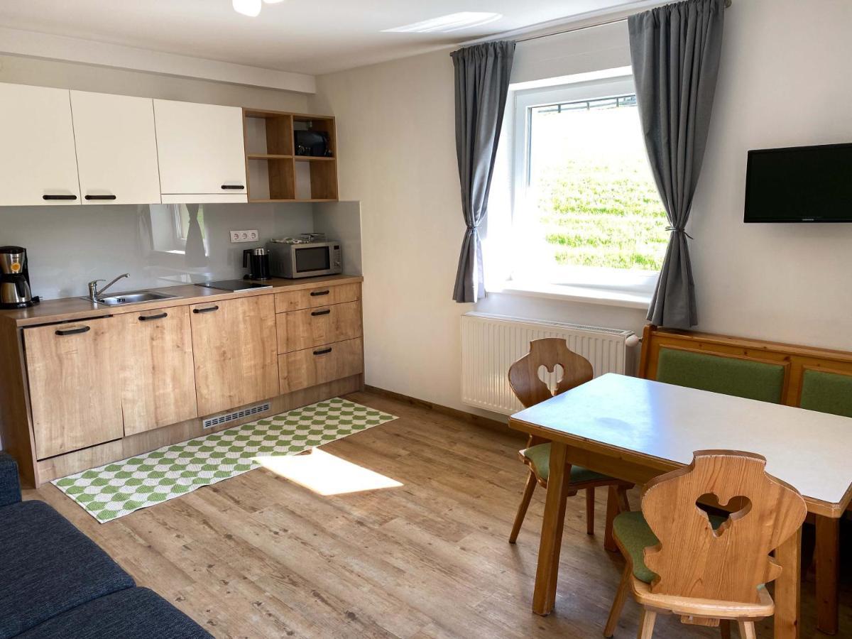 Haus Filzmoos Apartment Екстериор снимка