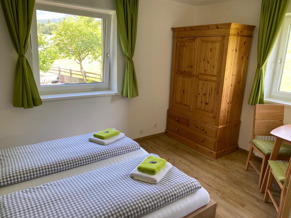 Haus Filzmoos Apartment Екстериор снимка