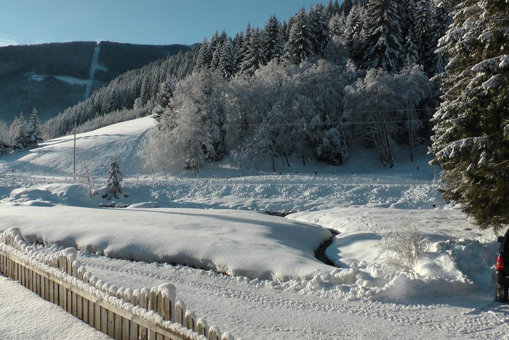 Haus Filzmoos Apartment Екстериор снимка