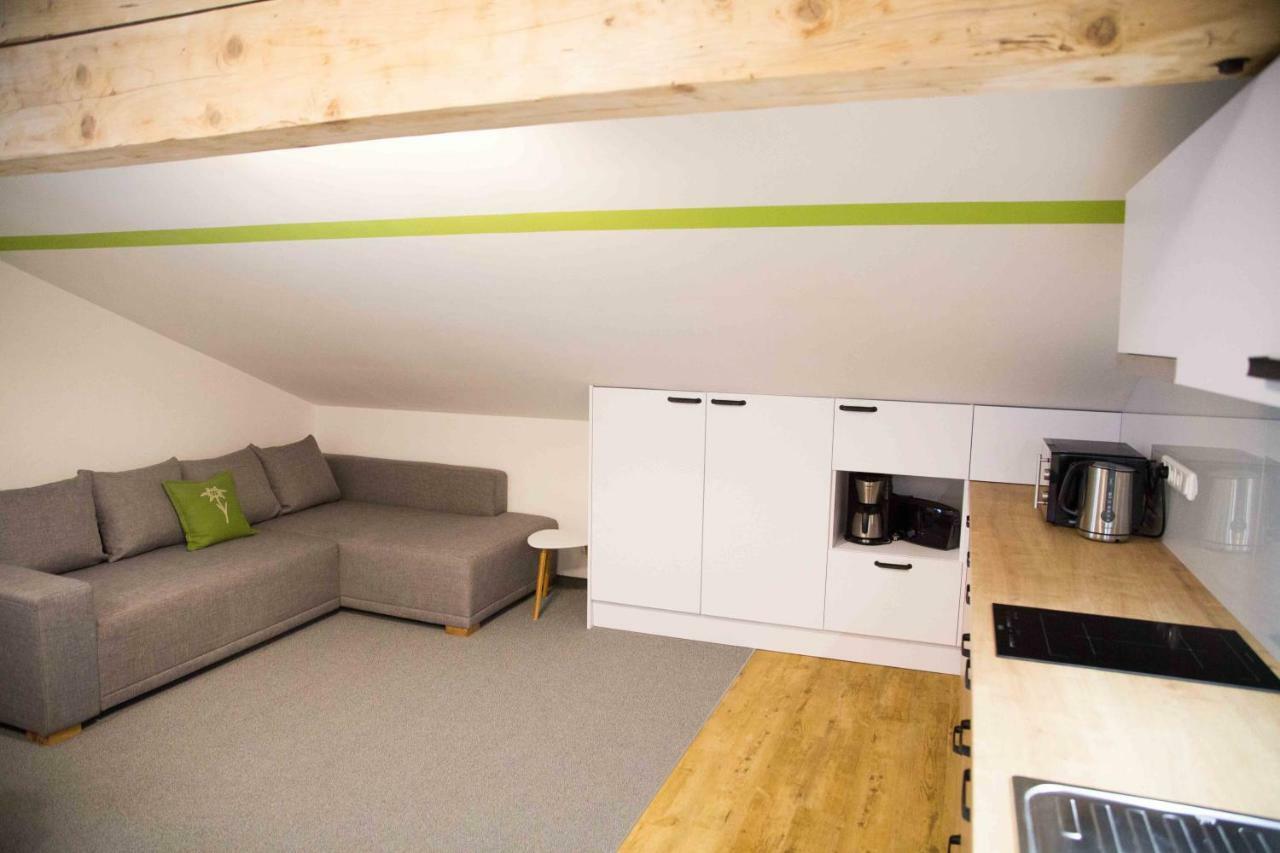 Haus Filzmoos Apartment Екстериор снимка